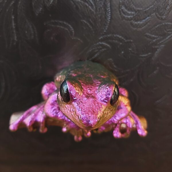 Maroon Eyed Frog Magnet - Image 2