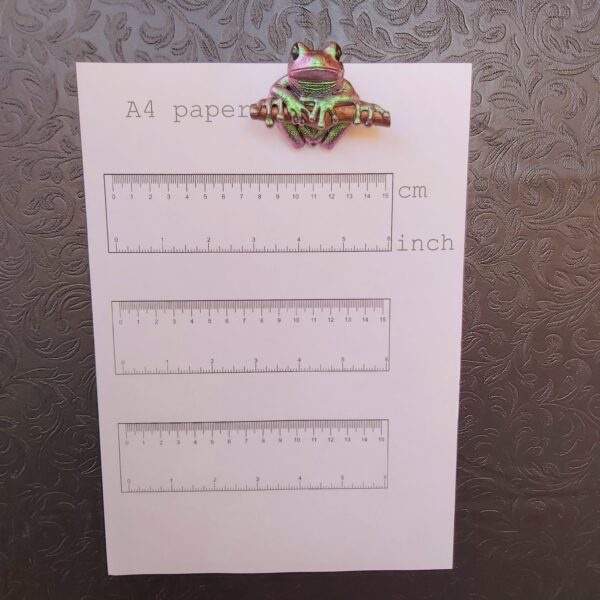 Maroon Eyed Frog Magnet - Image 7