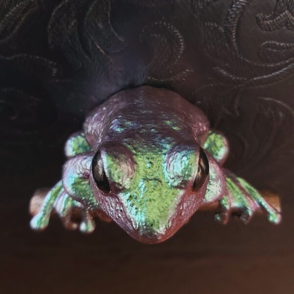 Maroon Eyed Frog Magnet - Image 3
