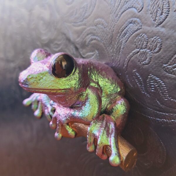 Maroon Eyed Frog Magnet - Image 4