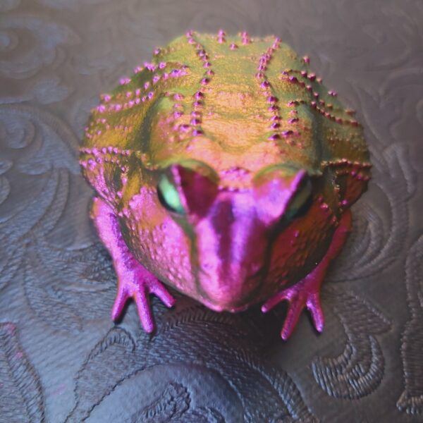 Slingshot Frog Magnet - Image 2