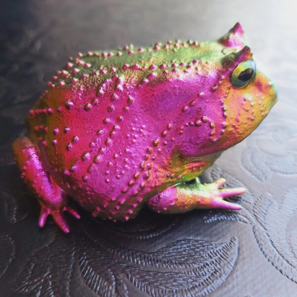 Slingshot Frog Magnet - Image 4