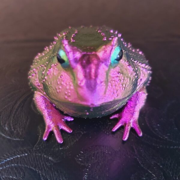 Slingshot Frog Magnet