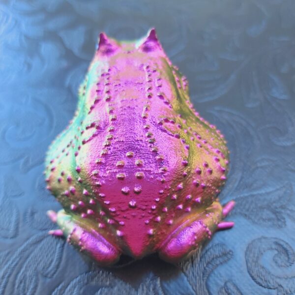 Slingshot Frog Magnet - Image 5
