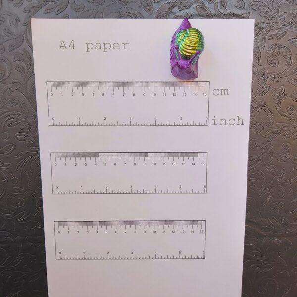 Snail Magnet (small) - Image 3