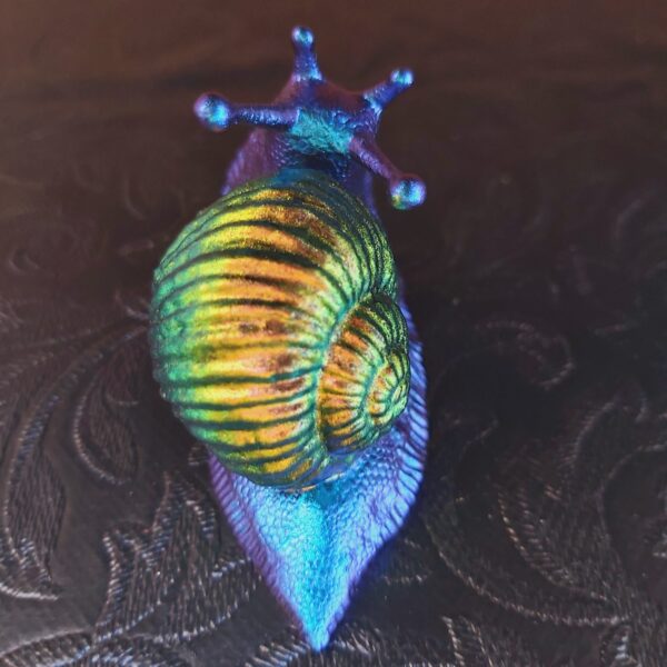 Snail Magnet (small) - Image 2