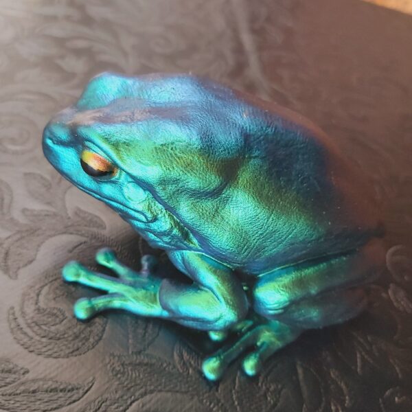 Australian Green Tree Frog Magnet - Image 7