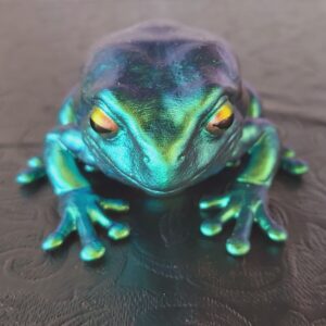 Australian Green Tree Frog Magnet