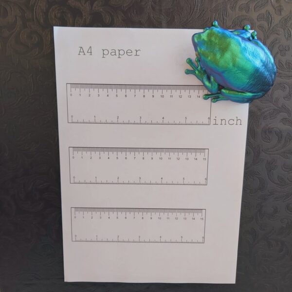 Australian Green Tree Frog Magnet - Image 4