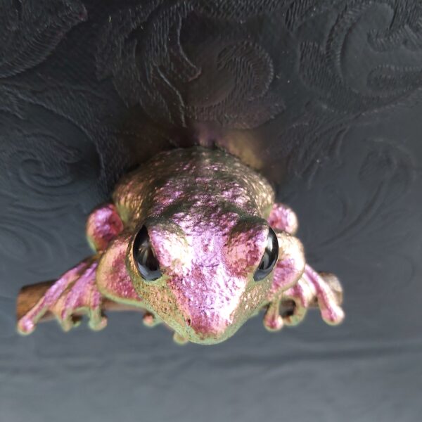Maroon Eyed Frog Magnet - Image 4