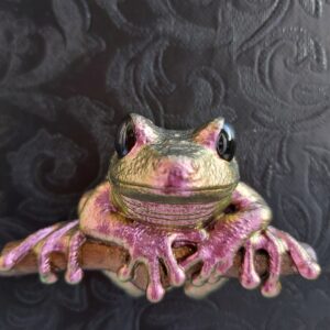 Maroon Eyed Frog Magnet