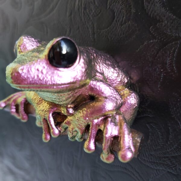 Maroon Eyed Frog Magnet - Image 6