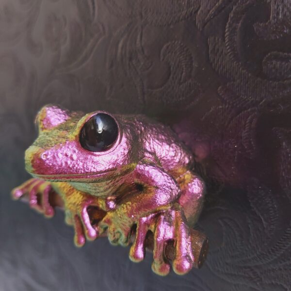 Maroon Eyed Frog Magnet - Image 7